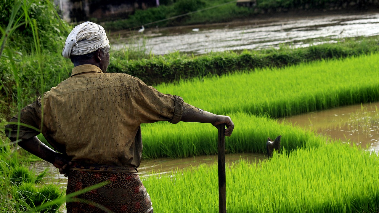 India government to repeal controversial farm laws after year-long farmer protests